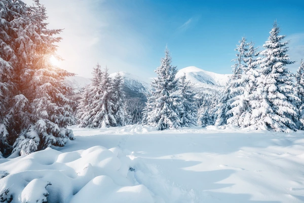Snow Valley Patriata